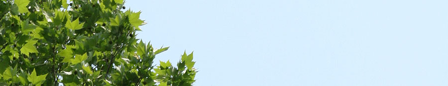 フォトエッセイページ